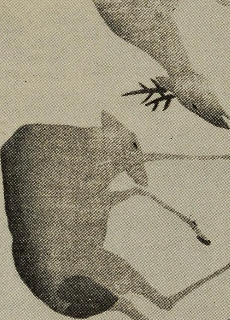 An illustration from History of art, 1921, leaf 159