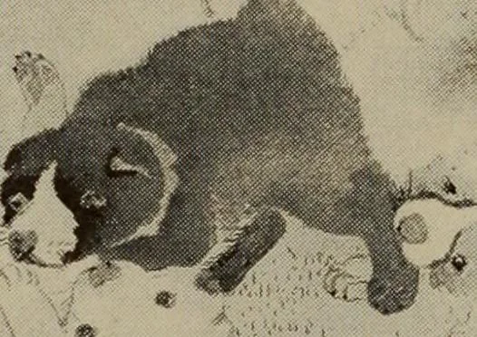 An illustration from History of art, 1921, leaf 171