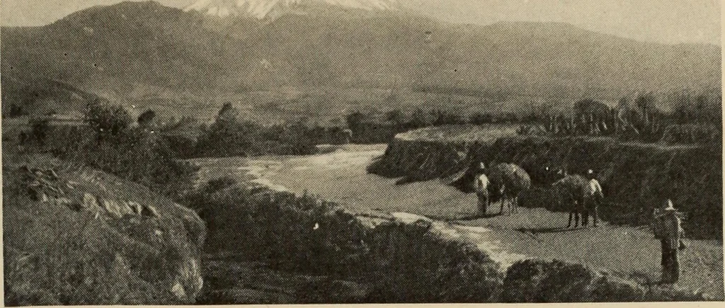 An illustration from History of art, 1921, leaf 192