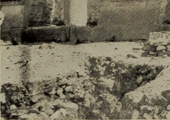An illustration from History of art, 1921, leaf 217