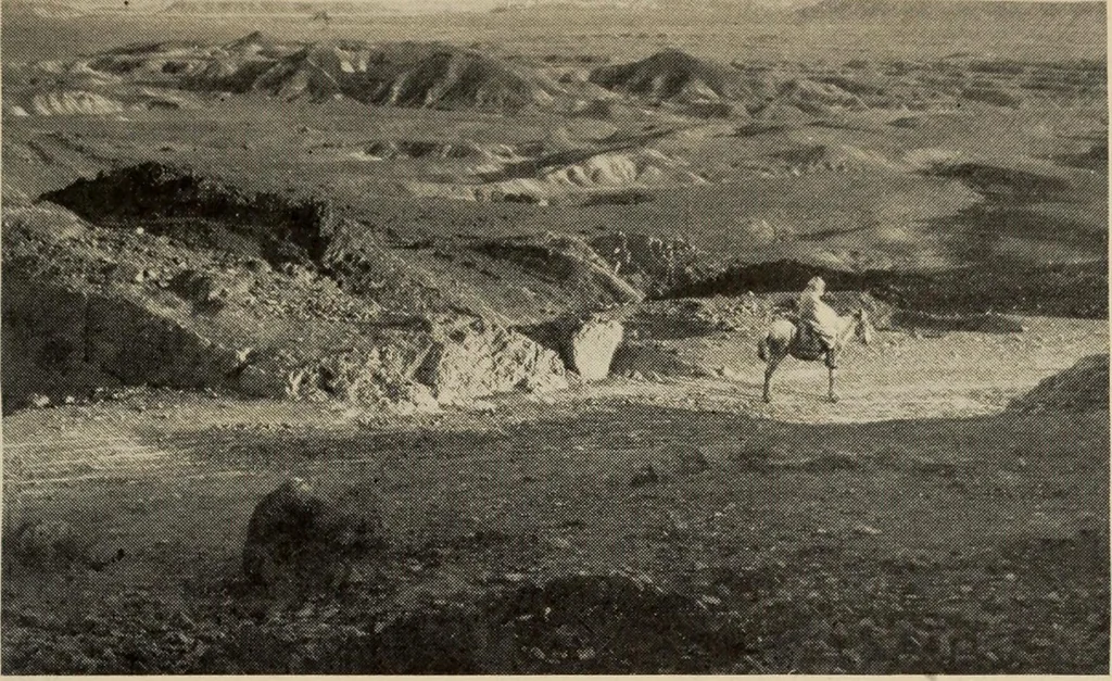 An illustration from History of art, 1921, leaf 258