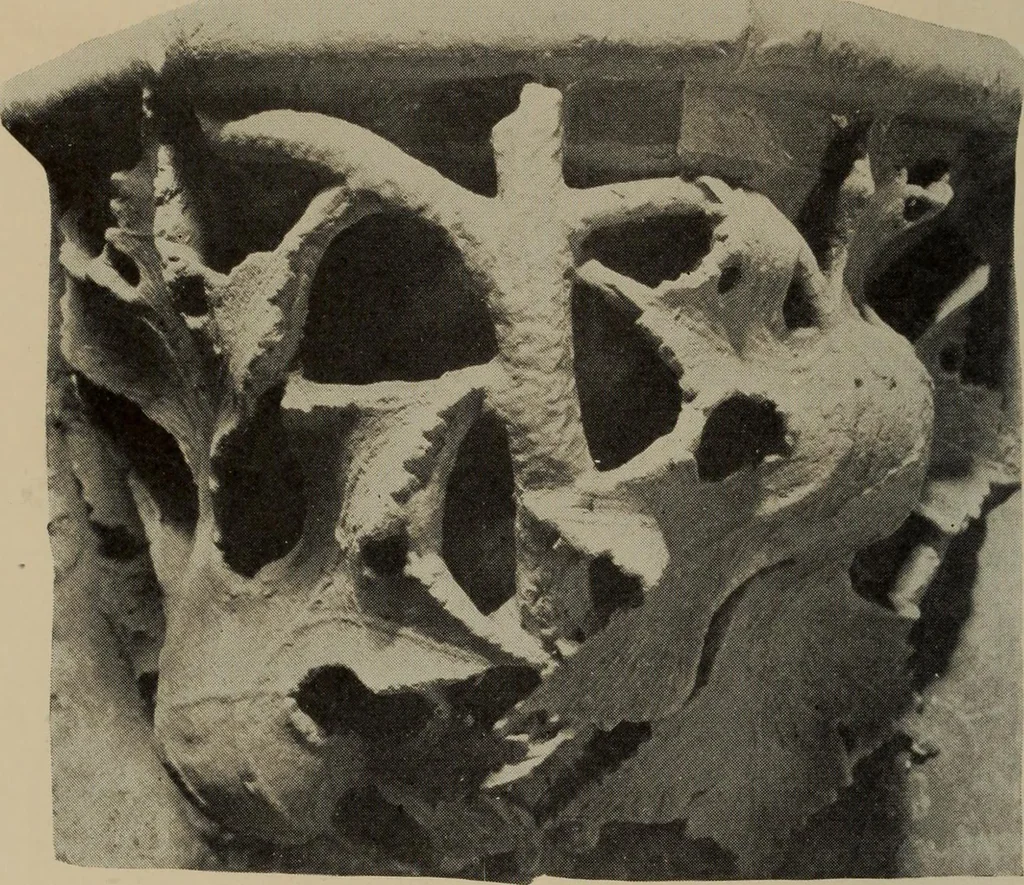 An illustration from History of art, 1921, leaf 359