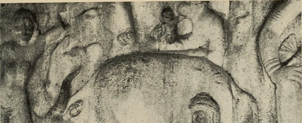 An illustration from History of art, 1921, leaf 46