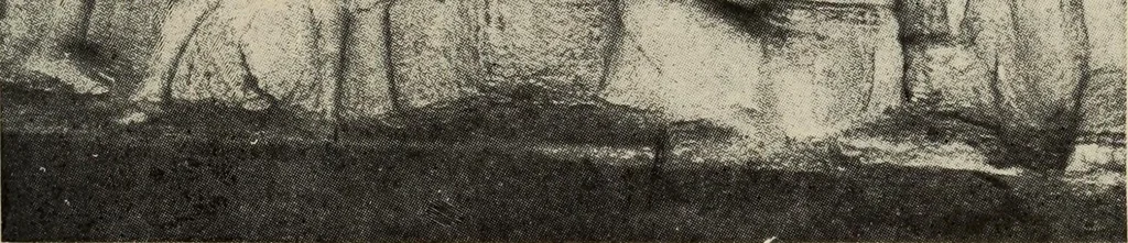 An illustration from History of art, 1921, leaf 46