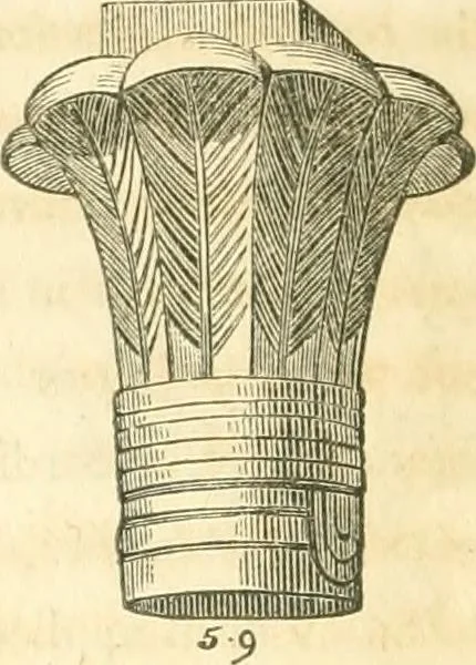 An illustration from History of architecture, from the earliest times; its present condition in Europe and the United States; with a biography of eminent architects, and a glossary of architectural terms, 1848, leaf 466