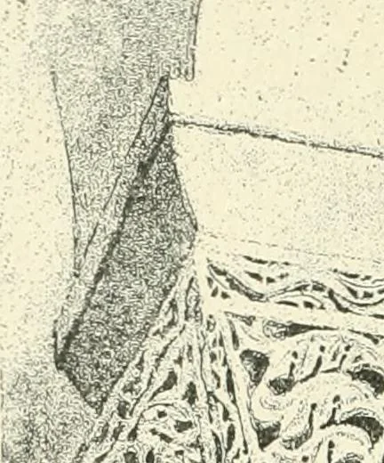 An illustration from A history of architecture in Italy from the time of Constantine to the dawn of the renaissance, 1901, leaf 259