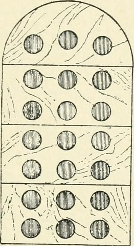 An illustration from A history of architecture in Italy from the time of Constantine to the dawn of the renaissance, 1901, leaf 50