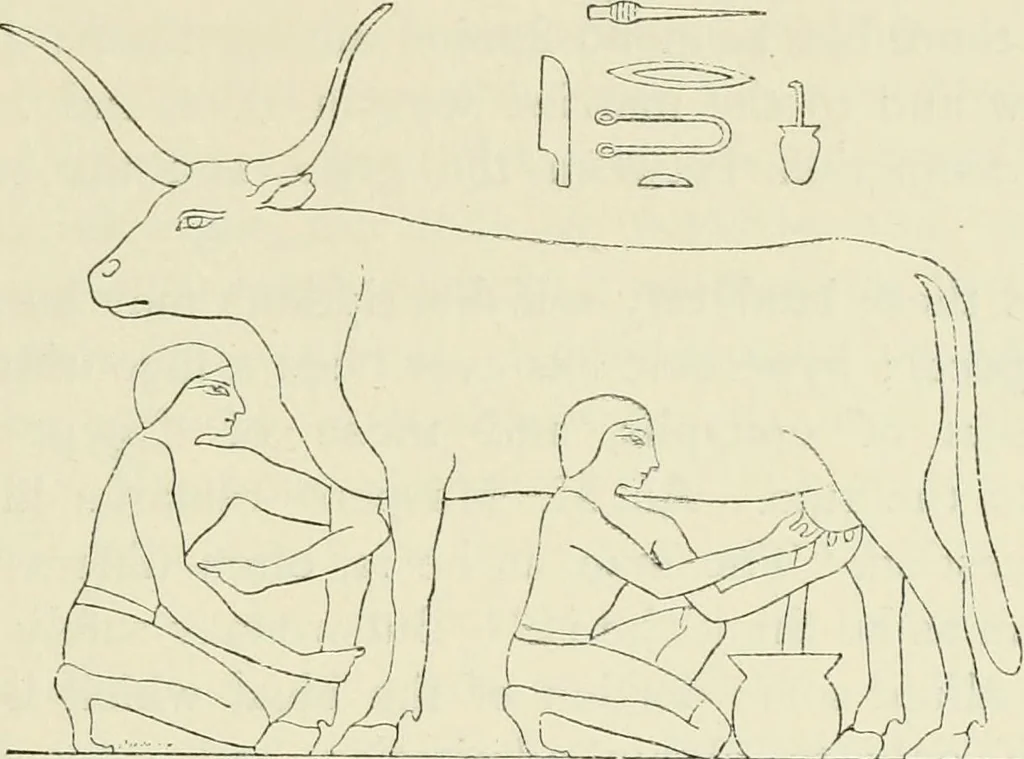 An illustration from A history of art in ancient Egypt, 1883, leaf 122