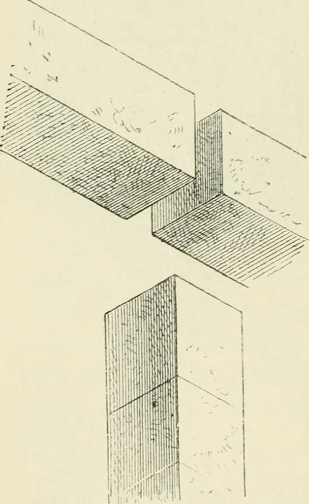 An illustration from A history of art in ancient Egypt, 1883, leaf 193