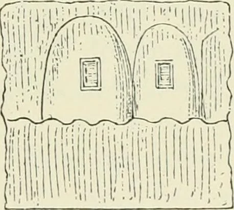 An illustration from A history of art in ancient Egypt, 1883, leaf 198