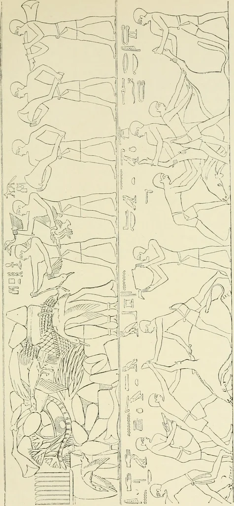 An illustration from A history of art in ancient Egypt, 1883, leaf 230
