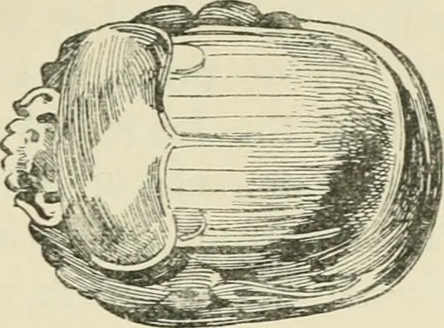 An illustration from A history of art in ancient Egypt, 1883, leaf 248