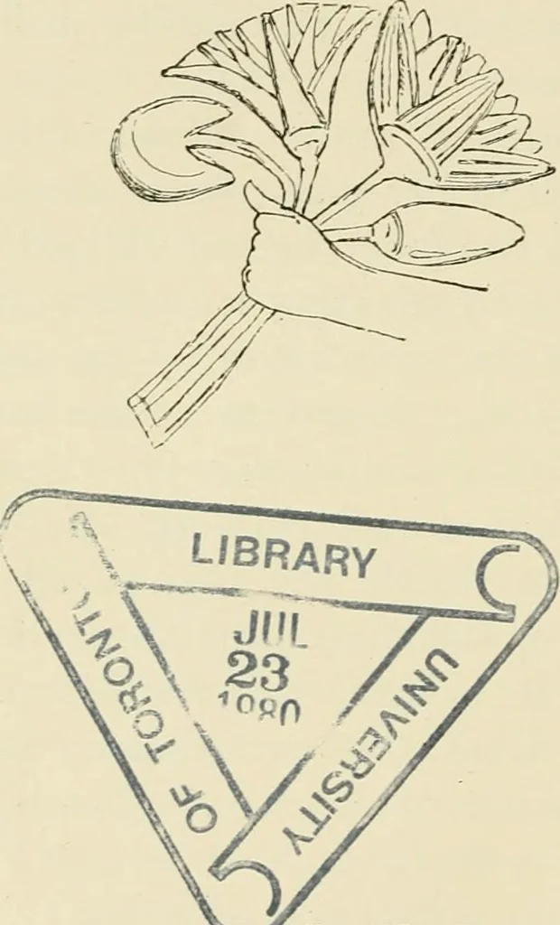 An illustration from A history of art in ancient Egypt, 1883, leaf 539