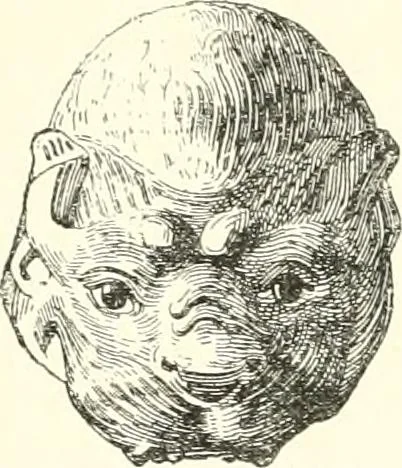 An illustration from A history of art in Chaldæa & Assyria, 1884, leaf 134
