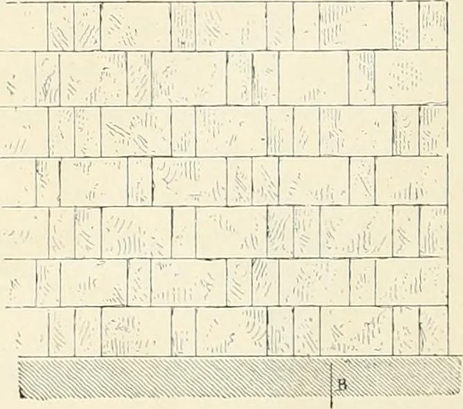 An illustration from A history of art in Chaldæa & Assyria, 1884, leaf 169