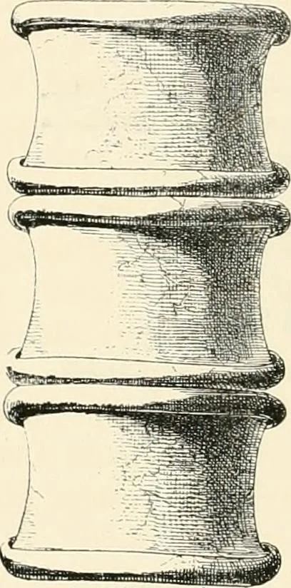 An illustration from A history of art in Chaldæa & Assyria, 1884, leaf 207