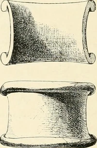An illustration from A history of art in Chaldæa & Assyria, 1884, leaf 207