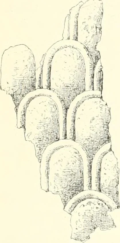 An illustration from A history of art in Chaldæa & Assyria, 1884, leaf 228