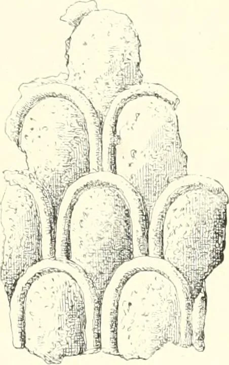 An illustration from A history of art in Chaldæa & Assyria, 1884, leaf 228