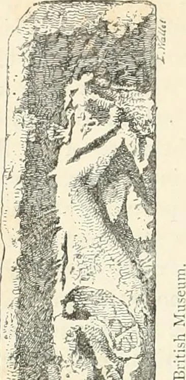An illustration from A history of art in Chaldæa & Assyria, 1884, leaf 261