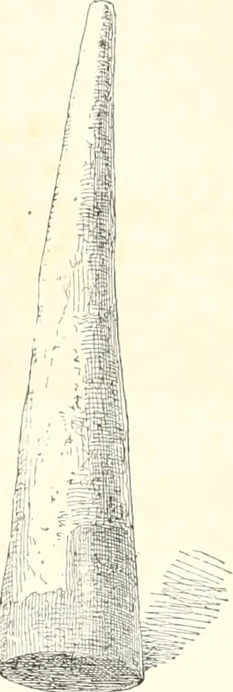 An illustration from A history of art in Chaldæa & Assyria, 1884, leaf 302