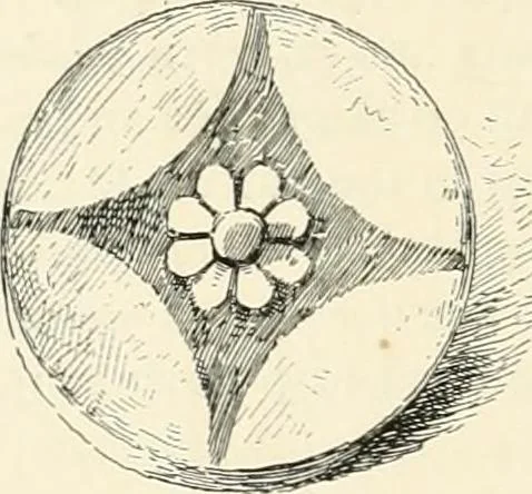 An illustration from A history of art in Chaldæa & Assyria, 1884, leaf 313