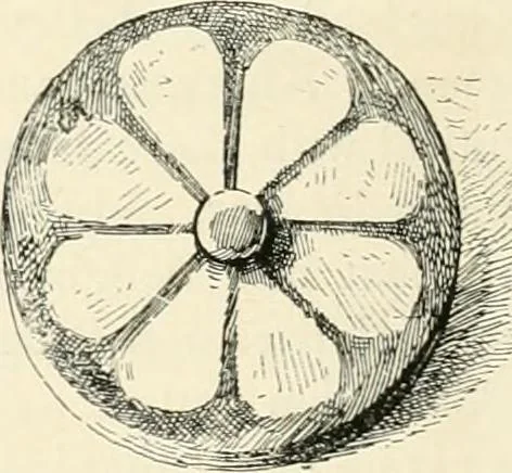 An illustration from A history of art in Chaldæa & Assyria, 1884, leaf 313