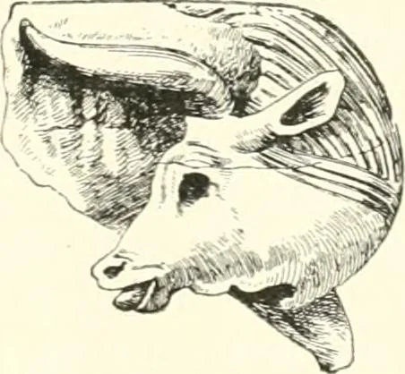 An illustration from A history of art in Chaldæa & Assyria, 1884, leaf 386