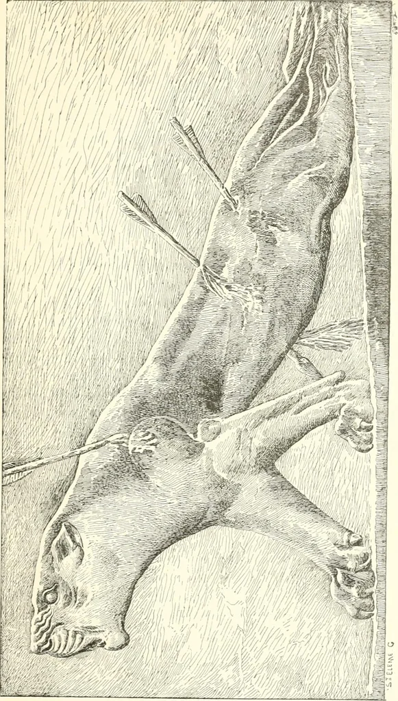 An illustration from A history of art in Chaldæa & Assyria, 1884, leaf 192