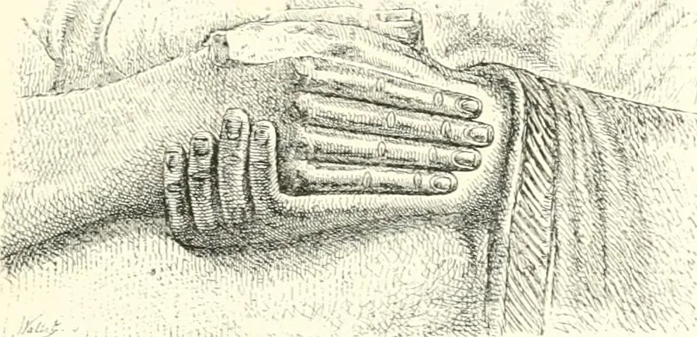 An illustration from A history of art in Chaldæa & Assyria, 1884, leaf 214