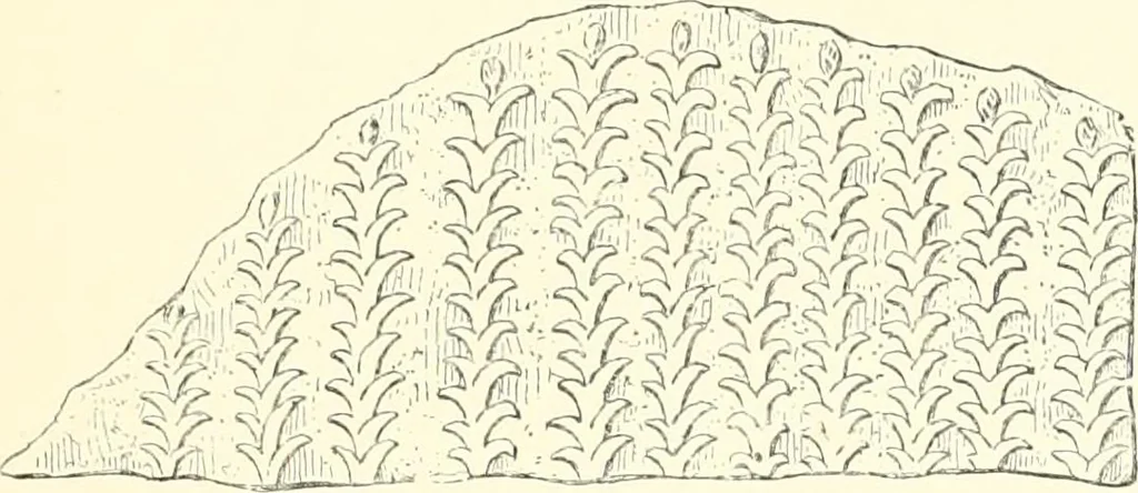 An illustration from A history of art in Chaldæa & Assyria, 1884, leaf 256