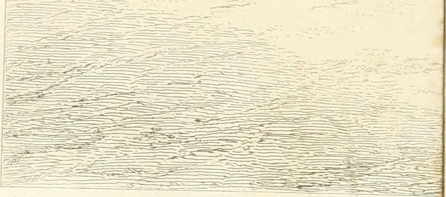 An illustration from A history of art in Chaldæa & Assyria, 1884, leaf 27
