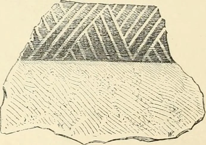 An illustration from A history of art in Chaldæa & Assyria, 1884, leaf 341
