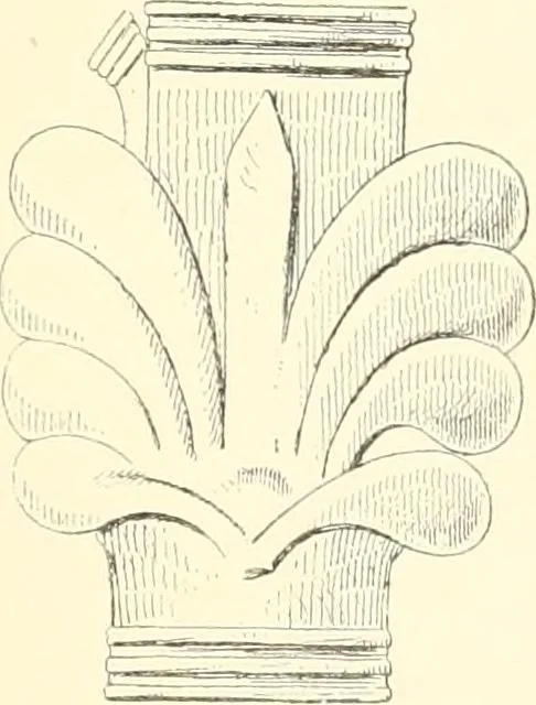 An illustration from A history of art in Chaldæa & Assyria, 1884, leaf 356