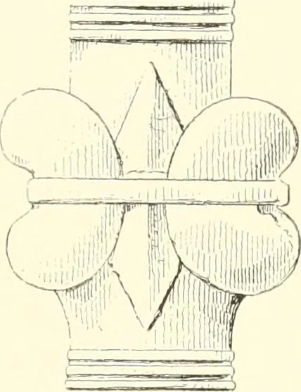 An illustration from A history of art in Chaldæa & Assyria, 1884, leaf 356
