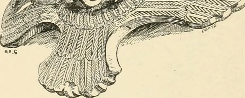An illustration from A history of art in Chaldæa & Assyria, 1884, leaf 365