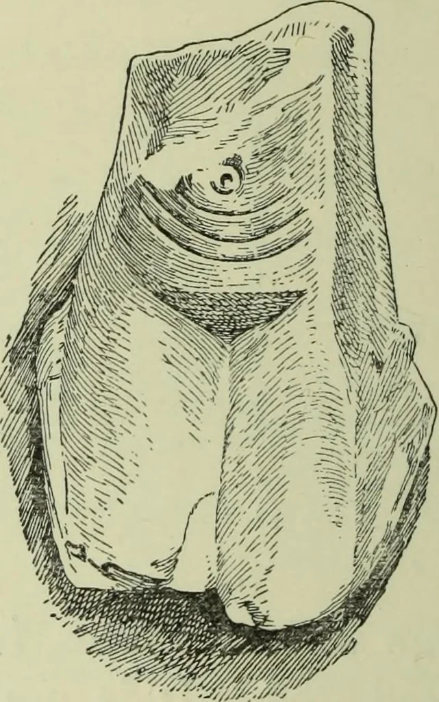 An illustration from History of art in Sardinia, Judaea, Syria, and Asia Minor, 1890, leaf 109