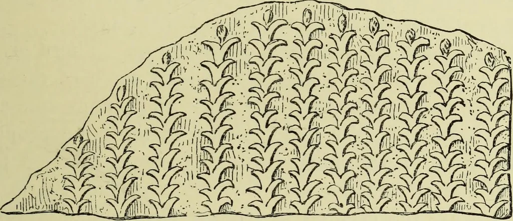 An illustration from History of art in Sardinia, Judaea, Syria, and Asia Minor, 1890, leaf 254
