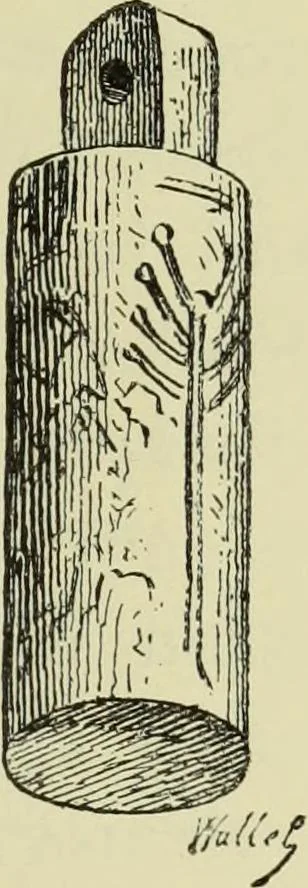 An illustration from History of art in Sardinia, Judaea, Syria, and Asia Minor, 1890, leaf 288