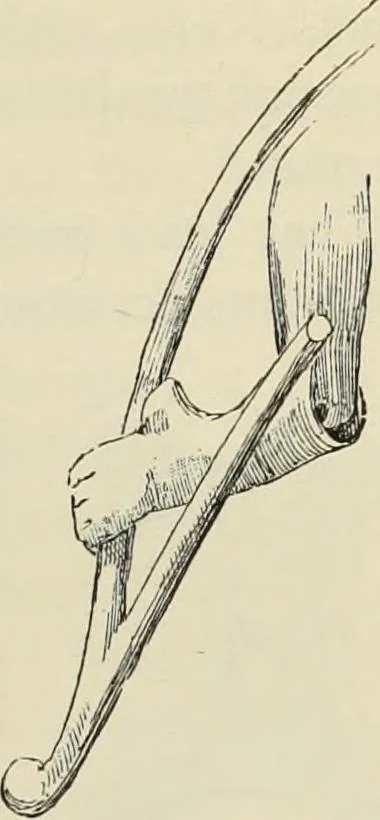 An illustration from History of art in Sardinia, Judaea, Syria, and Asia Minor, 1890, leaf 106