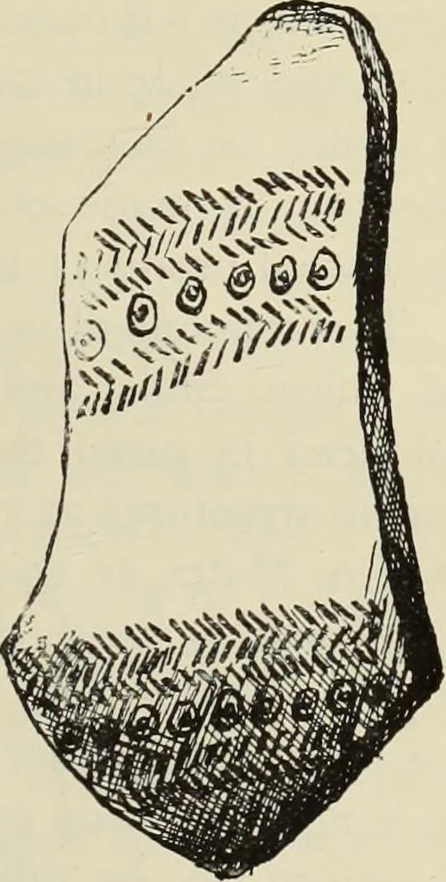 An illustration from History of art in Sardinia, Judaea, Syria, and Asia Minor, 1890, leaf 110