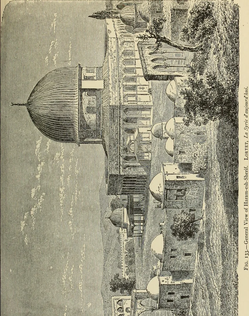 An illustration from History of art in Sardinia, Judaea, Syria, and Asia Minor, 1890, leaf 224