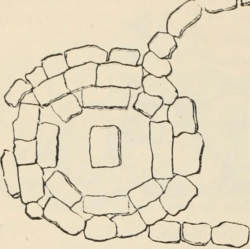 An illustration from History of art in Sardinia, Judaea, Syria, and Asia Minor, 1890, leaf 323