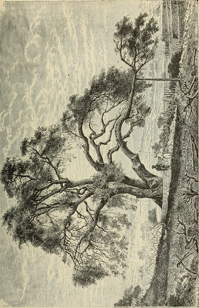 An illustration from History of art in Sardinia, Judaea, Syria, and Asia Minor, 1890, leaf 326