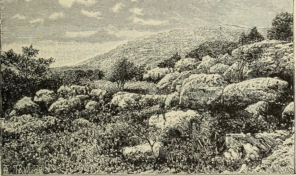 An illustration from History of art in Sardinia, Judaea, Syria, and Asia Minor, 1890, leaf 328