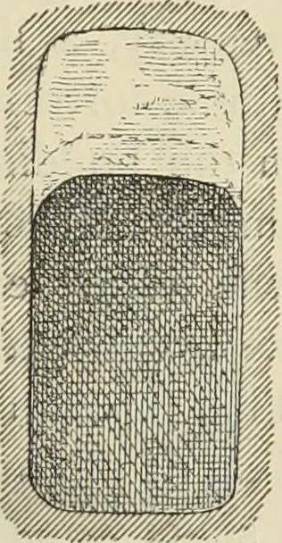 An illustration from History of art in Sardinia, Judaea, Syria, and Asia Minor, 1890, leaf 358