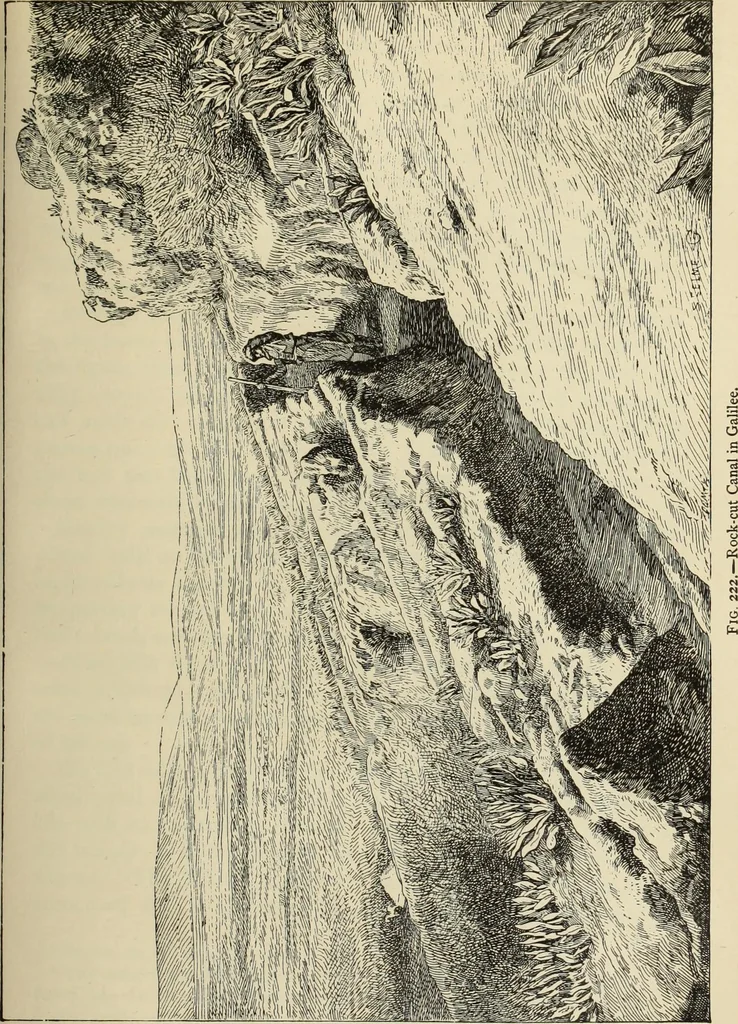 An illustration from History of art in Sardinia, Judaea, Syria, and Asia Minor, 1890, leaf 360