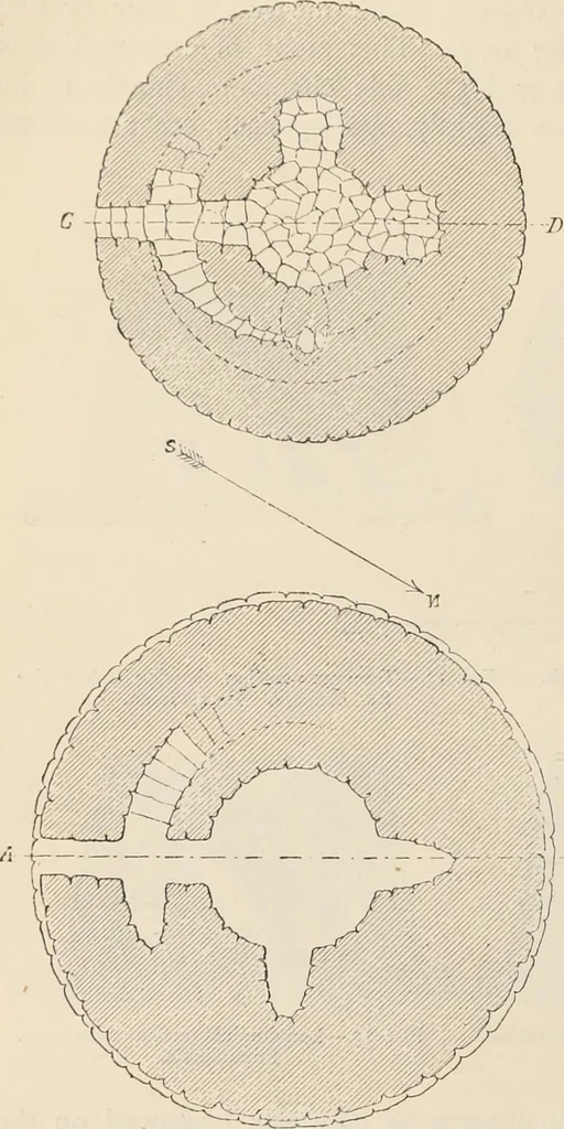 An illustration from History of art in Sardinia, Judaea, Syria, and Asia Minor, 1890, leaf 43