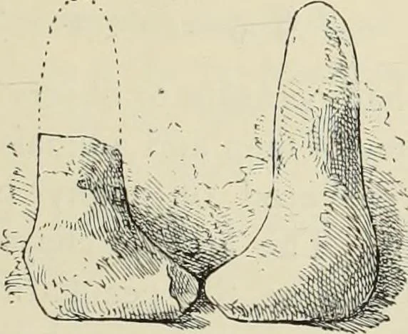 An illustration from History of art in Sardinia, Judaea, Syria, and Asia Minor, 1890, leaf 74