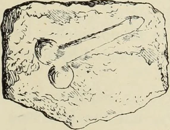 An illustration from History of art in Sardinia, Judaea, Syria, and Asia Minor, 1890, leaf 74